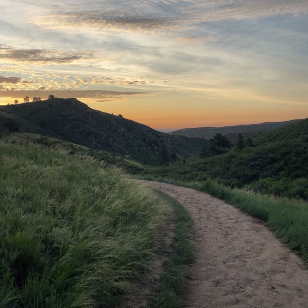 Meet your Posher, Finley